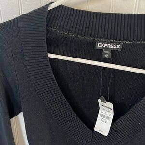 Express Women’s Vneck Sweater